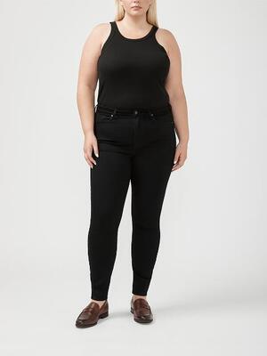 Isbister High Rise Skinny Leg Luxe Stretch Jeans Plus Size